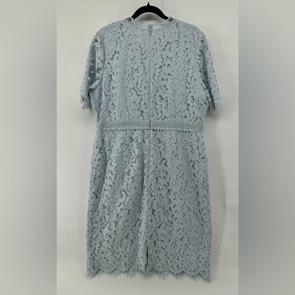 Rachel Parcell Baby Blue Lace Sheath Dress Cottagecore Romantic Spring Easter XL - Picture 9 of 12